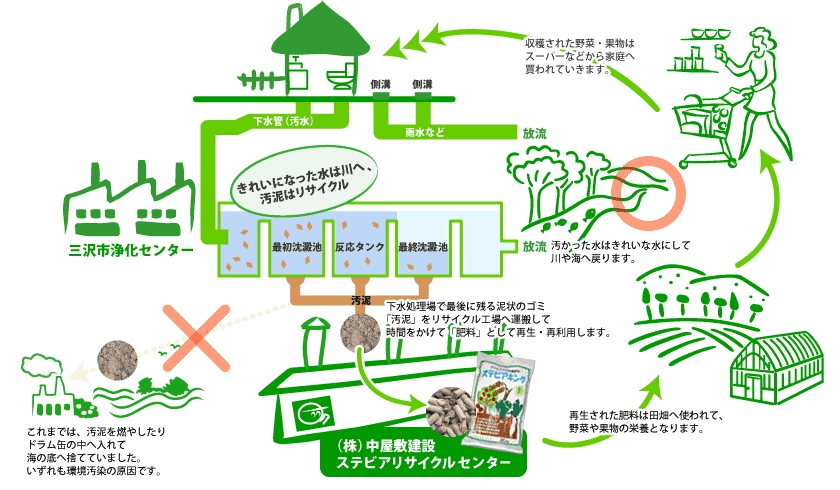 ステビアキングストーリー概要