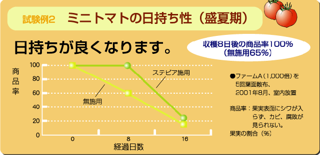 試験例2　ミニトマトの日持ち性（盛夏期）